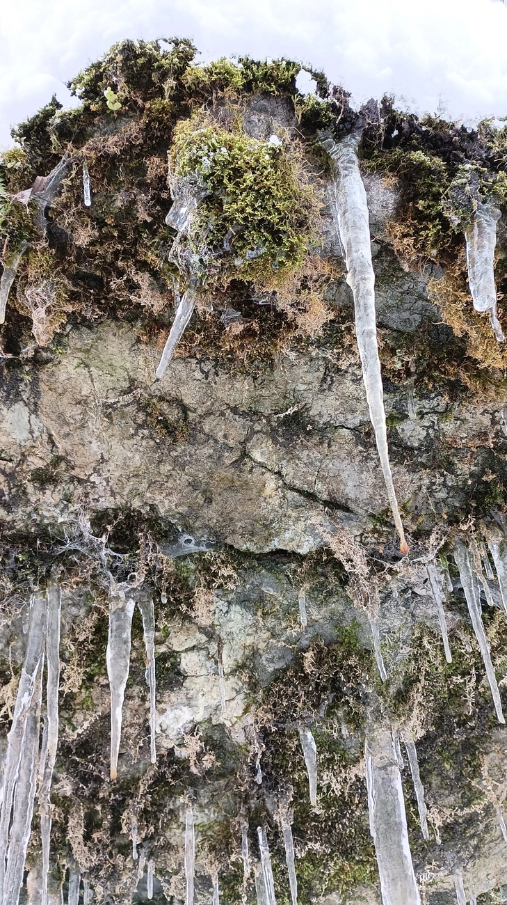 Az első hó 2025 november 22. Fotó: MVSC Természetjáró Szakosztály