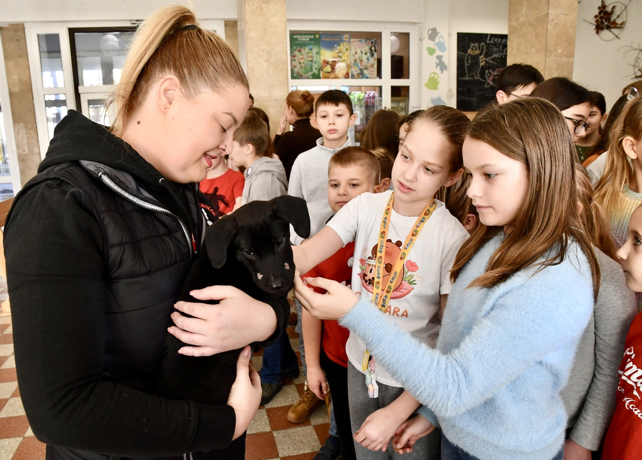 Összefogott a Fazekas Utcai Általános Iskola és a Diósgyőri Szurkolók az Állatokért Alapítvány. Fotó: Bujdos Tibor