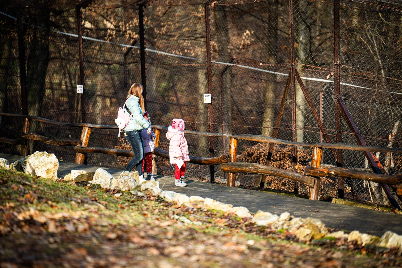 állatkerti mikulás