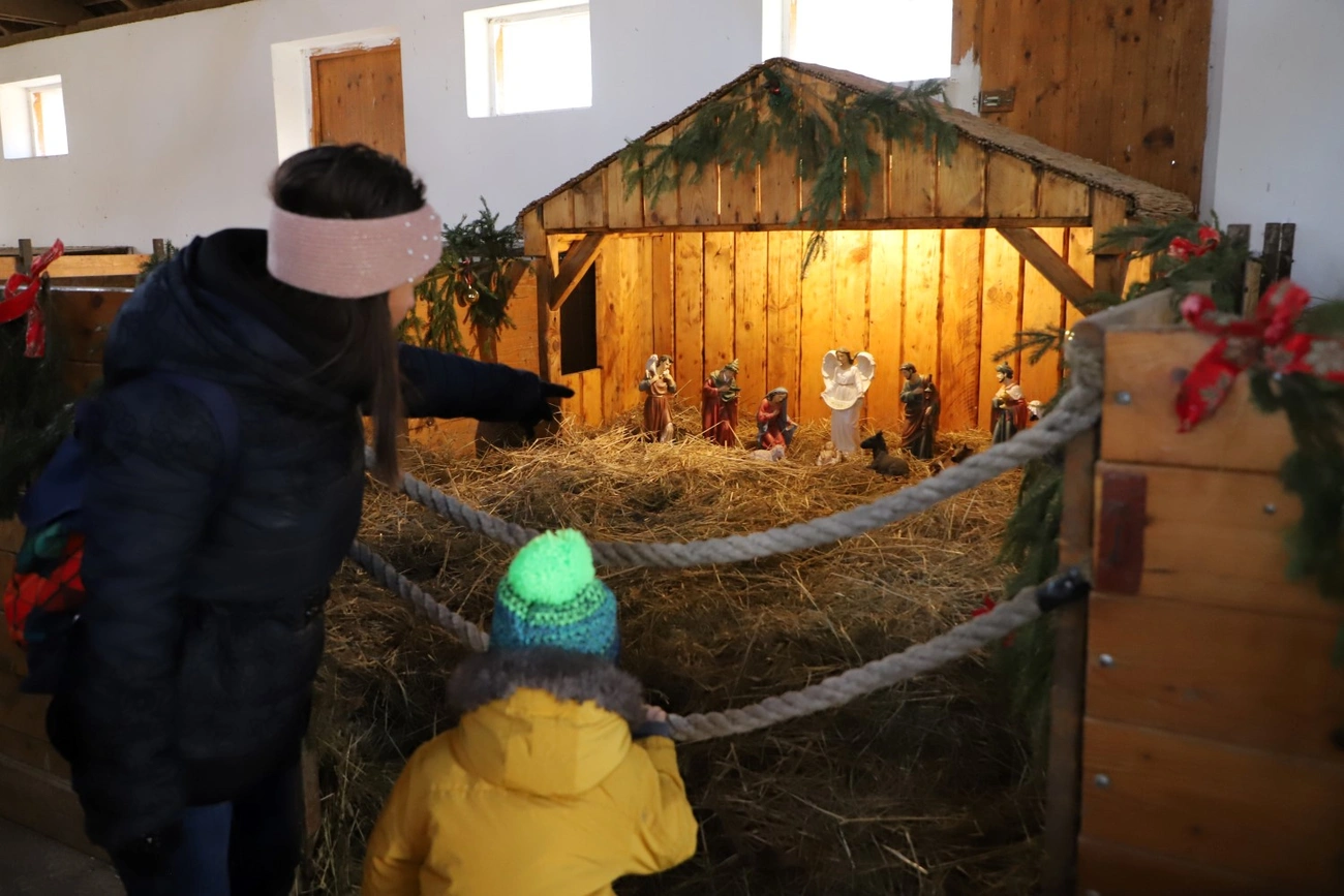 Állatok Karácsonya. Fotó: Mocsári László