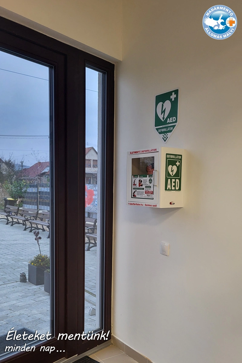 defibrillatormalyi3.jpg