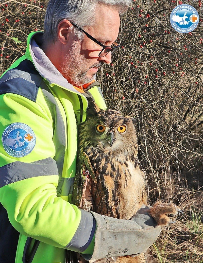 Lehoczky Krisztián füles bagollyal. Fotó: Facebook