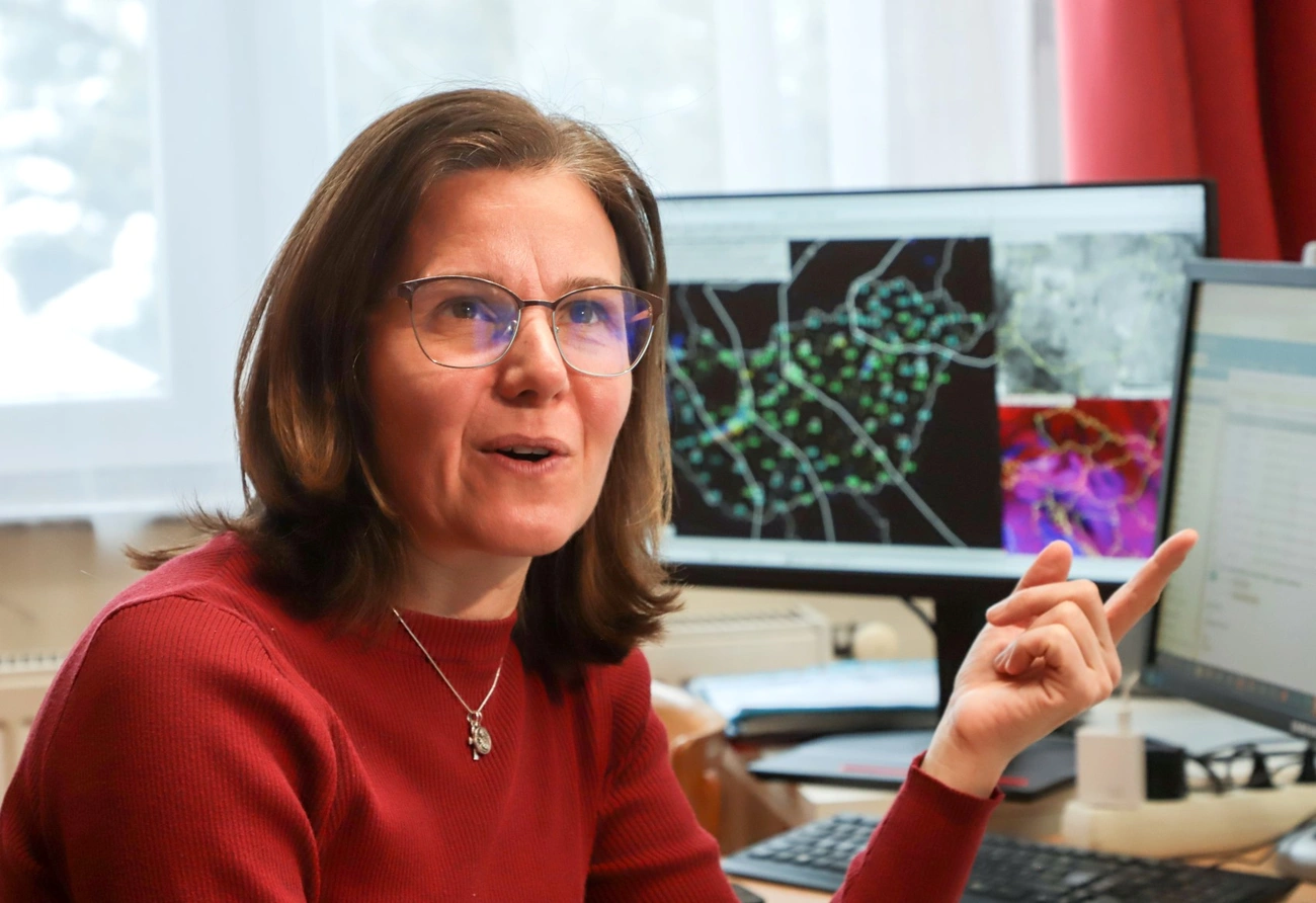 Erdődiné meteorológus. Fotó: Mocsári László