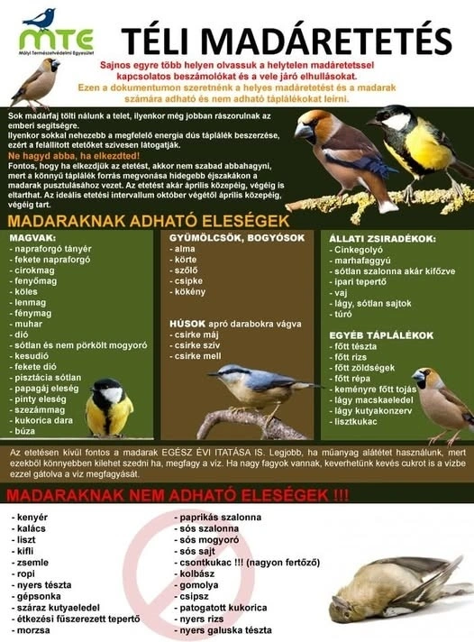 téli madáretetés plakát. Fotó: Mályi Madármentő Állomás Facebook