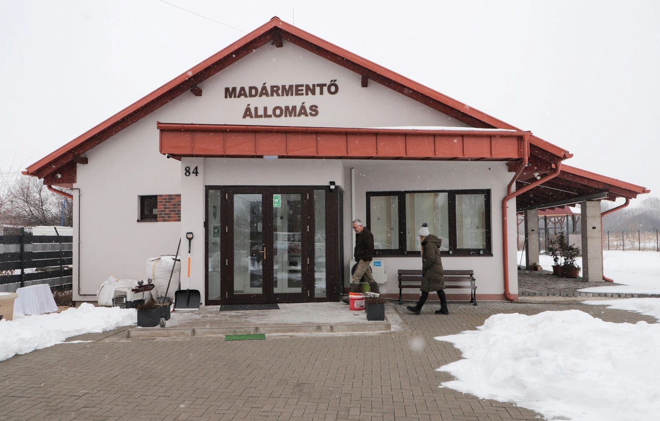 Mályi Madármentő Állomás HERO-díj. Fotó: Mocsári László