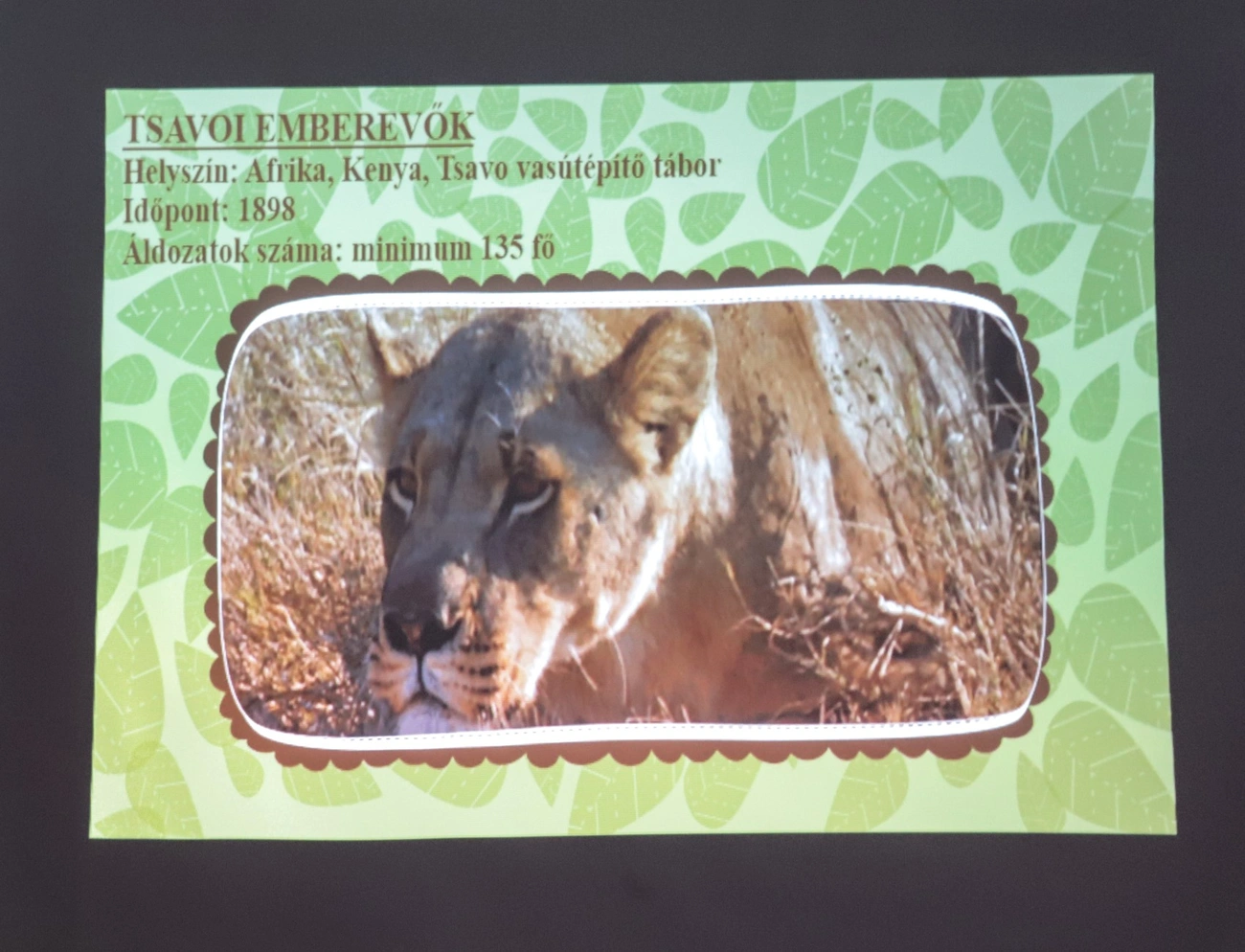 allatkert_ragaozo_eloadas_260124ml-9.jpg (403.28 KB)