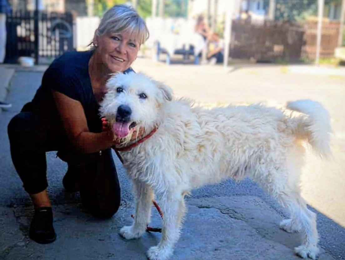 önkéntes sétáltató. Fotó: Miskolci Második Esély Állatvédő Alapítvány Facebook