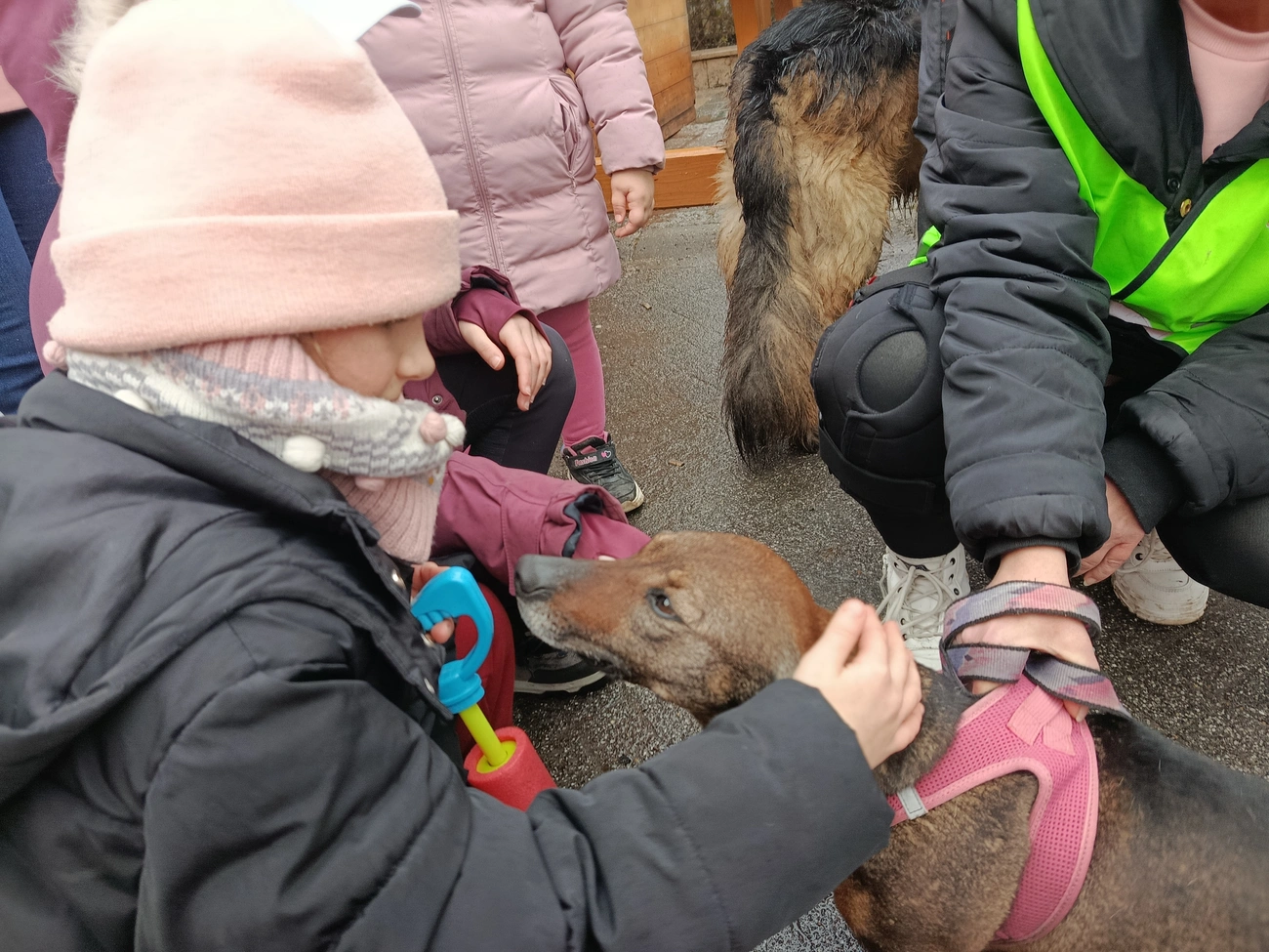 Lyukó Tappancsai Állatvédő Egyesület