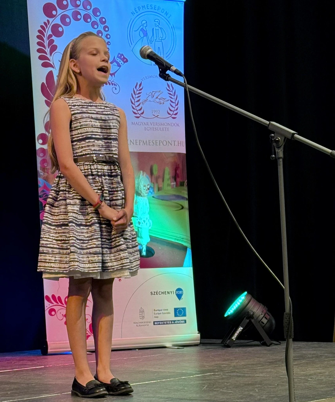 Szil, szál, szalmaszál versmondó verseny. Fotó: Magyar Versmondók Egyesülete Facebook