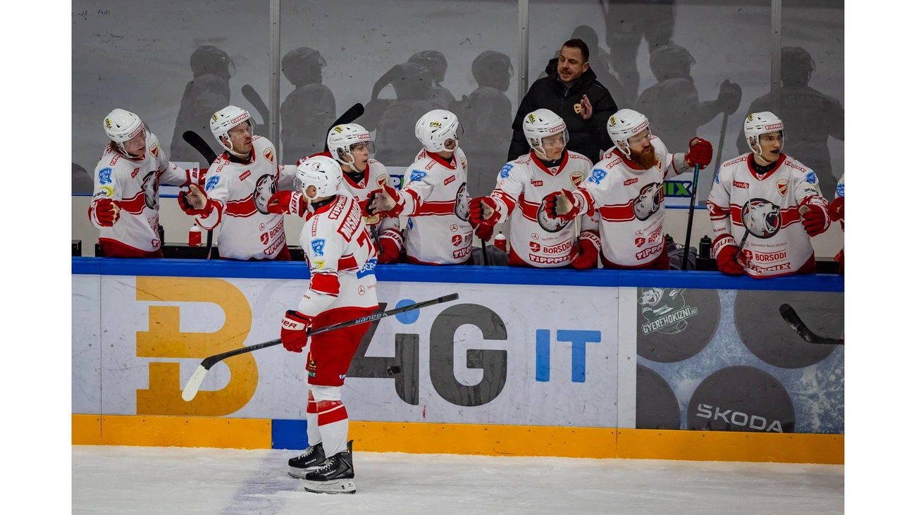 e: dvtk-jegesmedvek-erdelyben.jpg