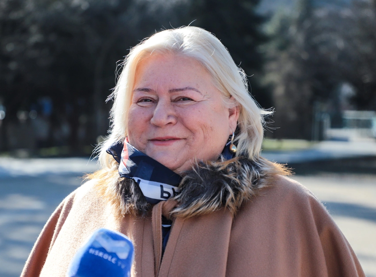 Szegedi Judit, a NYÉSZ elnöke. Fotó: Mocsári László