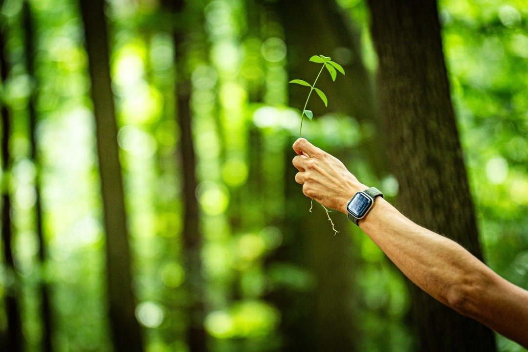 Ehető erdő díjátadó Berlinben. Fotó: VH