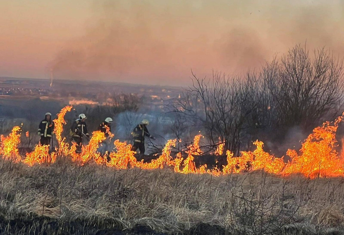 lángoló növényzet katasztrófavédelem