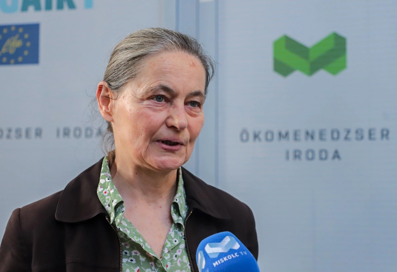 Hudák Katalin, komposztkeret osztás regisztráció. Fotó: Mocsári László