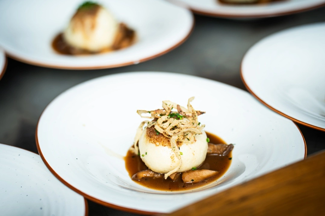 Ehető erdő stúdió beszélgetés. Fotó: Horváth Csongor