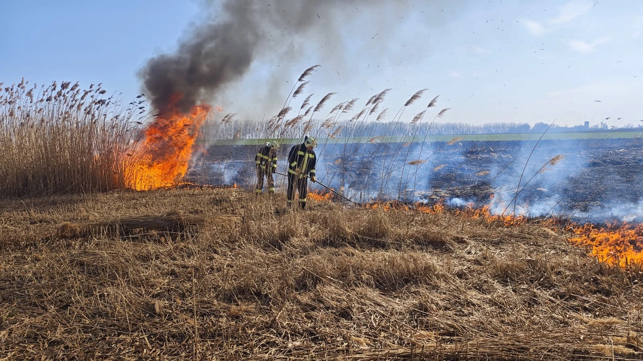 Tűzgyújtási tilalom