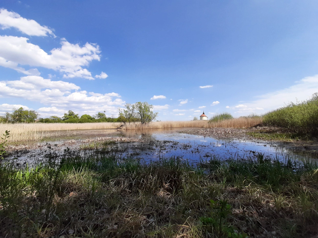 651508878_1376751991162103_6462572215665555572_n.jpg (602.12 KB)