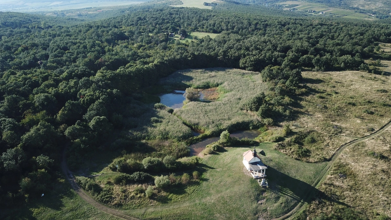 649621479_1375991761238126_1053338050474409115_n.jpg (977.22 KB)