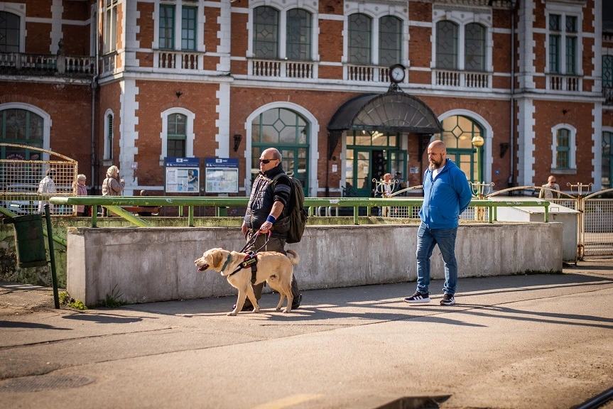Kiss Barnabás és vakvezető kutyái. Fotó: Baráthegyi Vakvezető Kutya Iskola