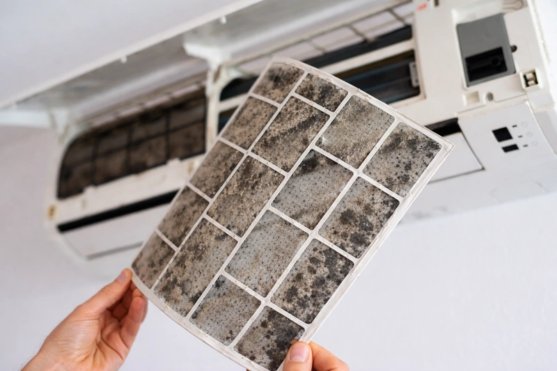 koszos klíma. Fotó: magánarchívum