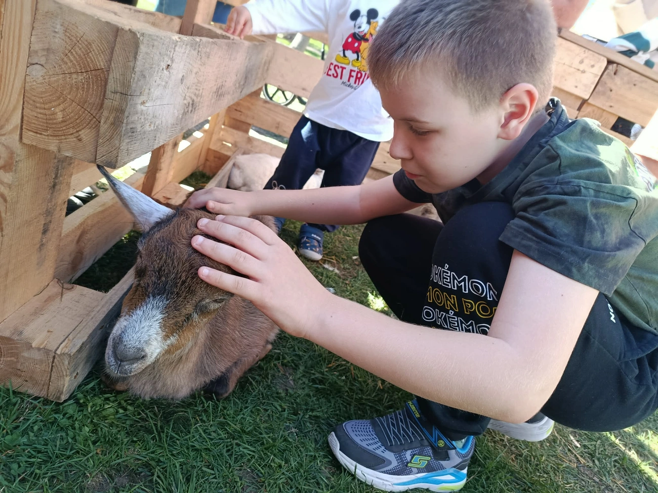 Állatsimogató a Szent István téren a Húsvéti kavalkádon. Fotó: Répássy Olívia