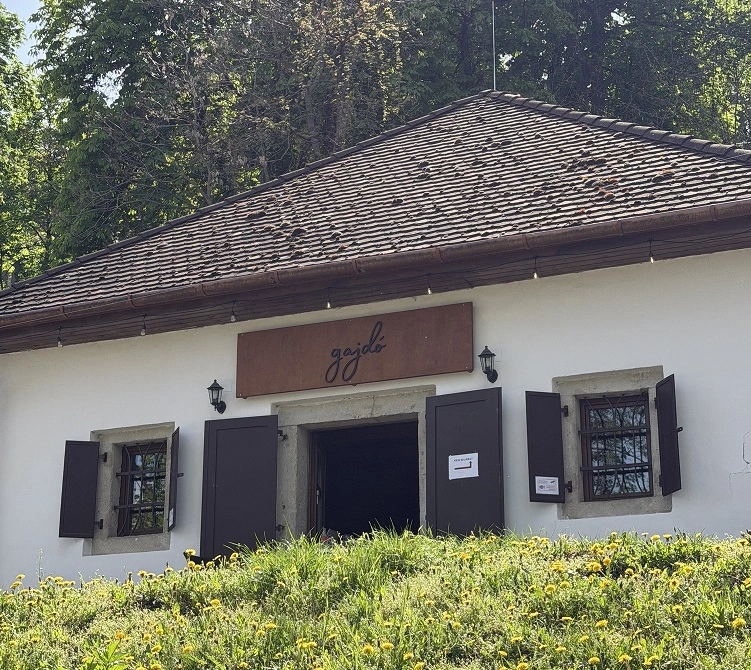 gajdo_miskolc.jpg