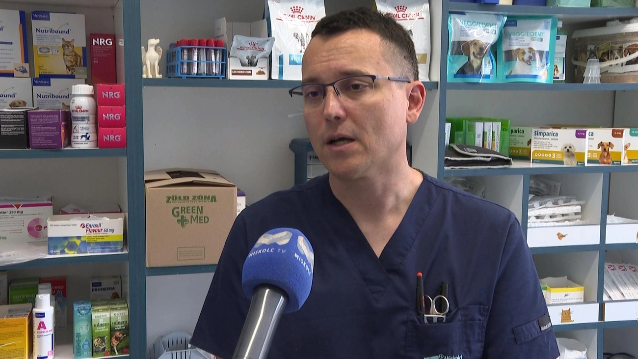 Puskás Gábor állatorvos nyilatkozik. Fotó: Miskolc TV
