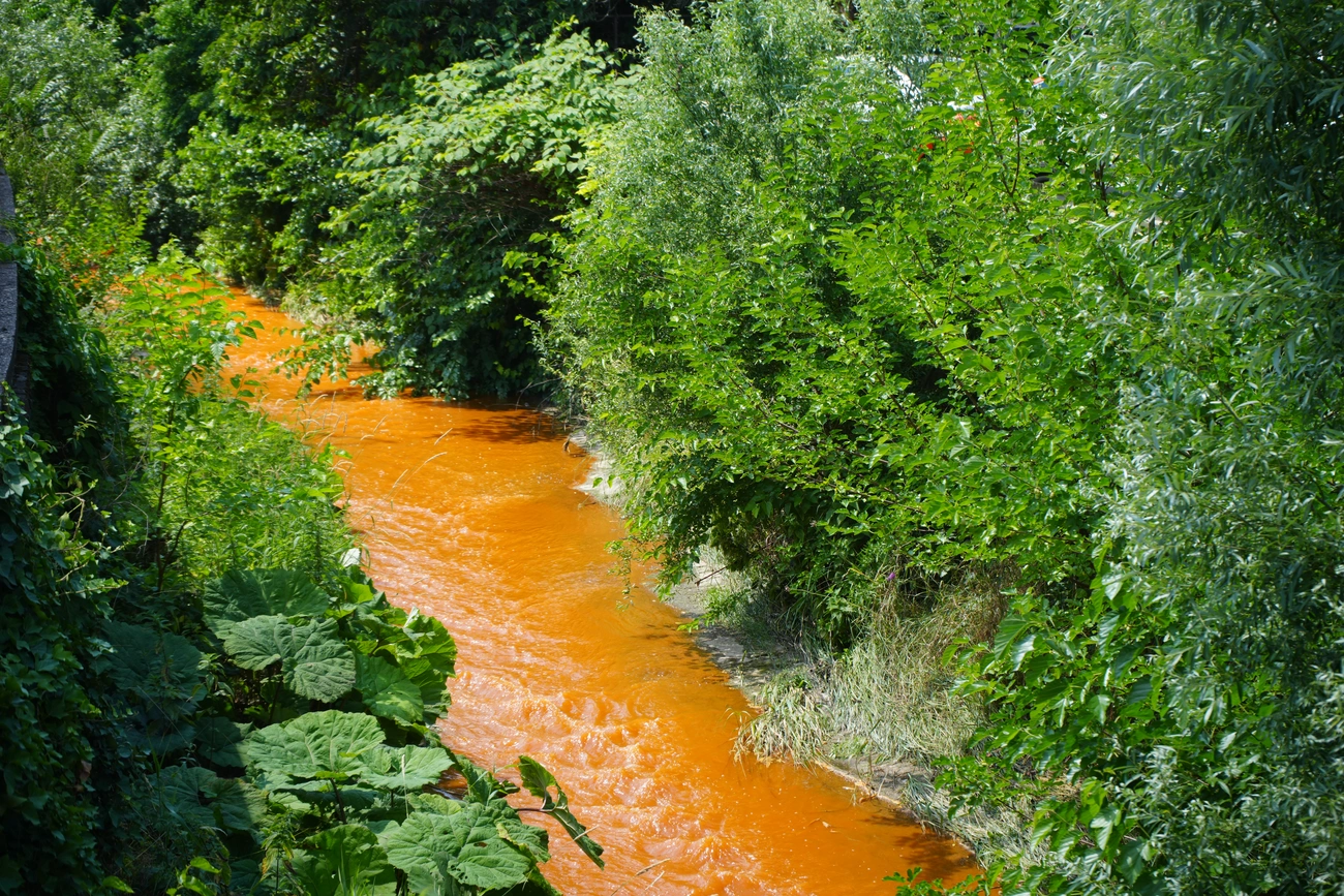 szinva-narancssarga-7.JPG