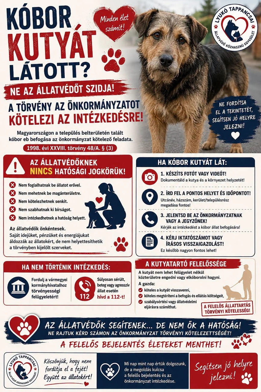 Kutyatámadásnál kit kell értesíteni plakát. Forrás: Lyukó Tappancsai Állatvédő Egyesület Facebook
