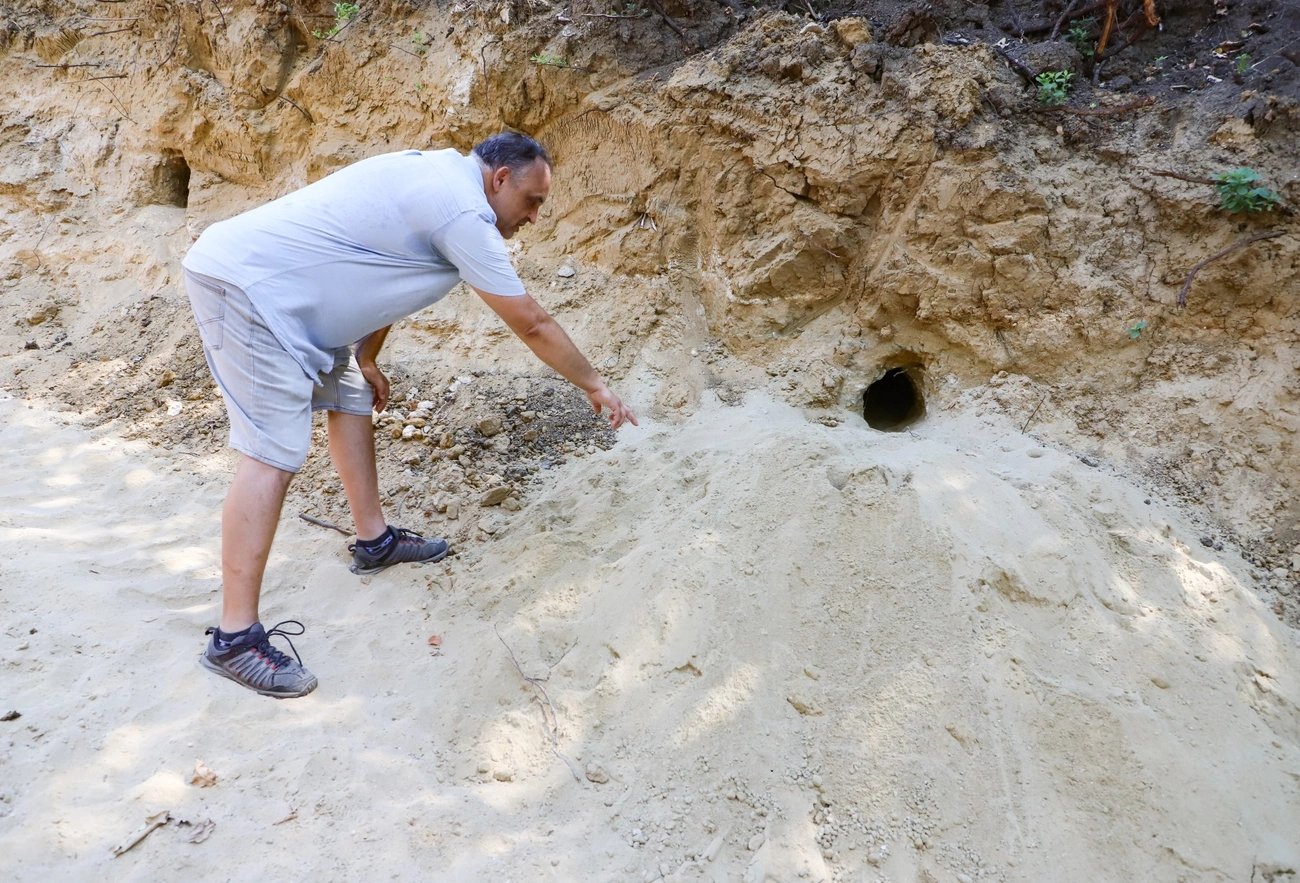 A Baráthegyi Majorság készülő tanösvénye. Fotó: Mocsári László