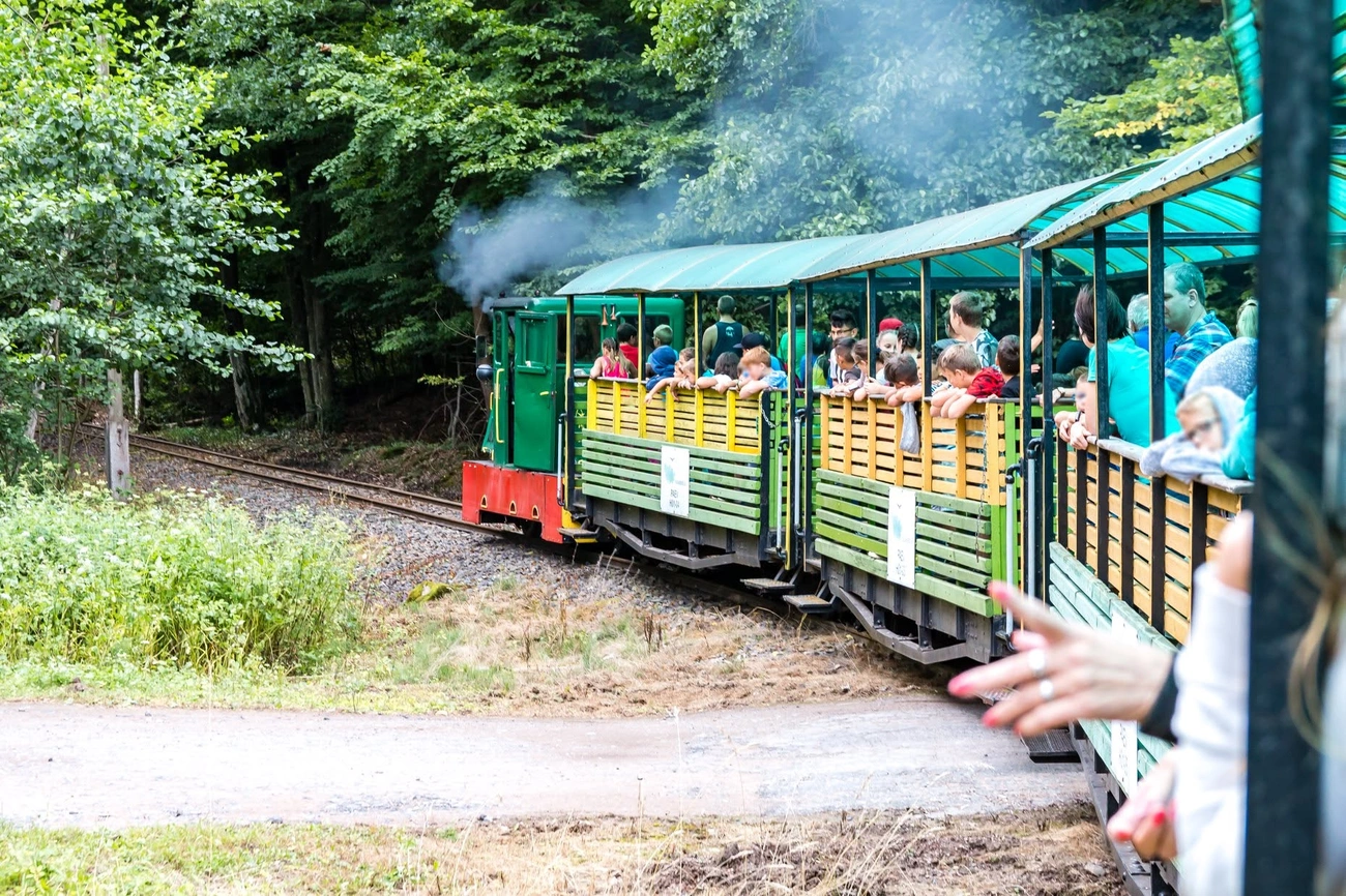 Pálházi Állami Erdei Vasút. Fotó: RailMoments Facebook