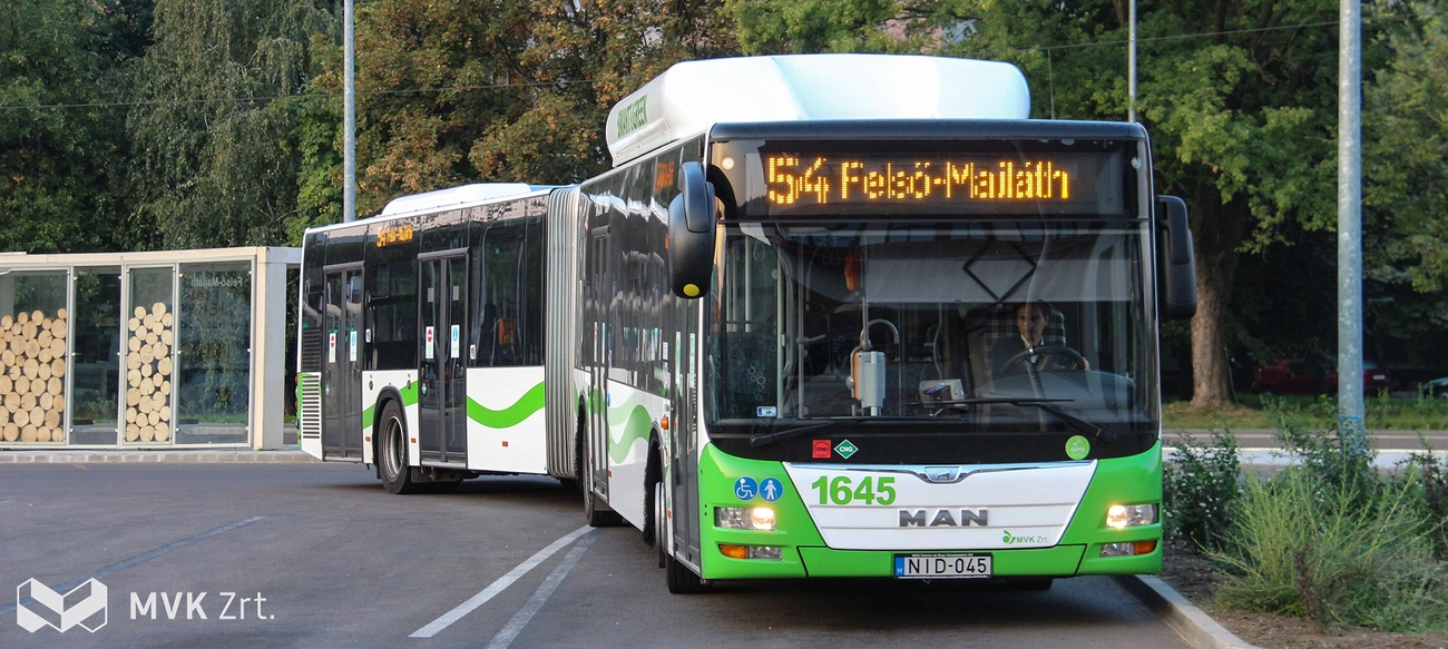 54_felso-majlath-img_0923.jpg