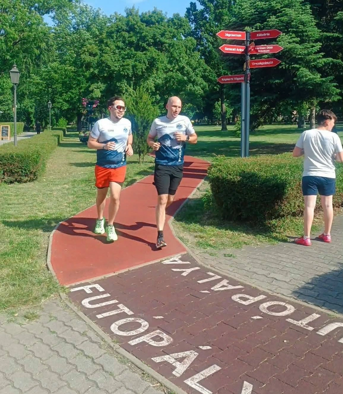 futónap Népkert