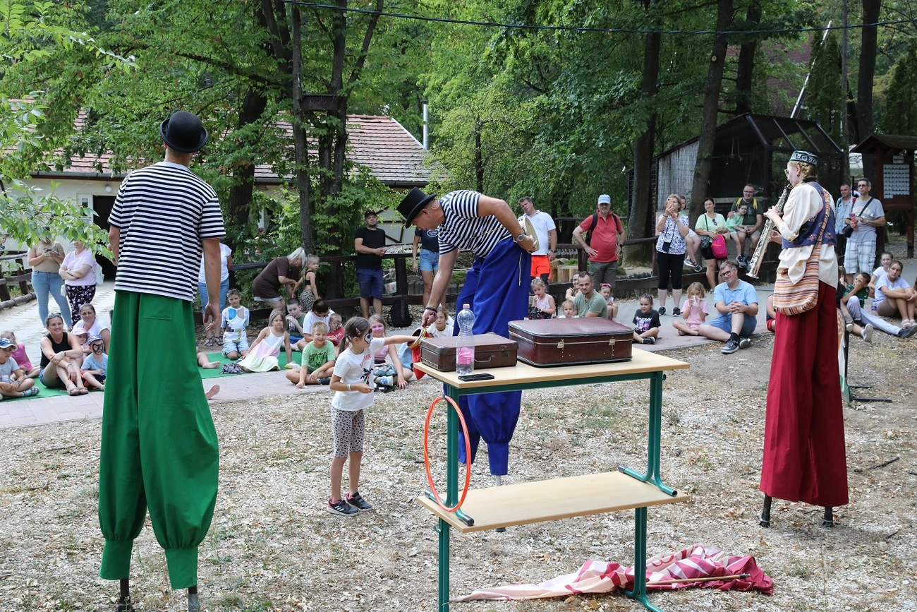 állatkerti születésnap. Fotó: Juhász Ákos