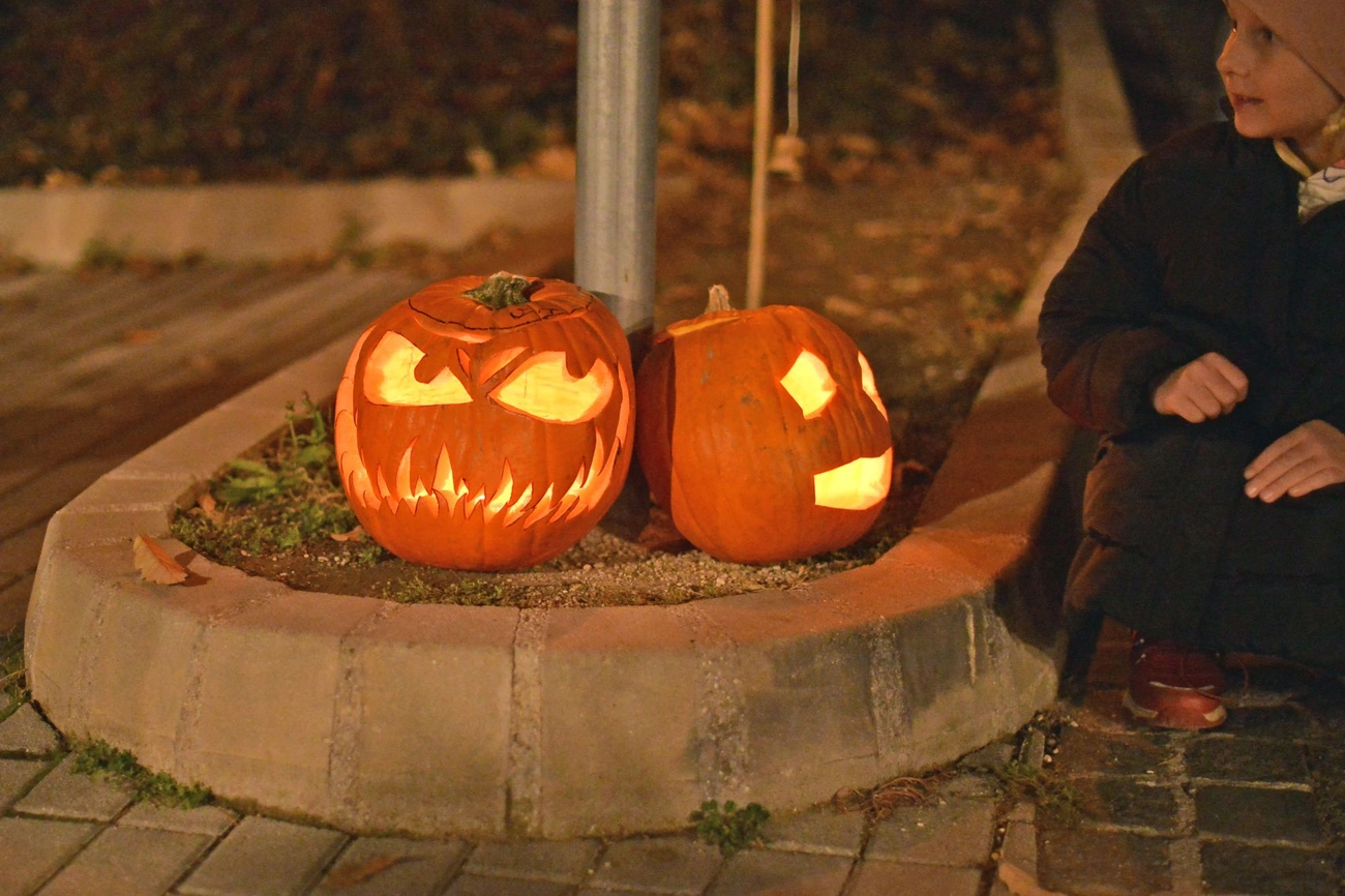 Halloween-est a Miskolci Állatkertben. Fotó: Osztie Tibor