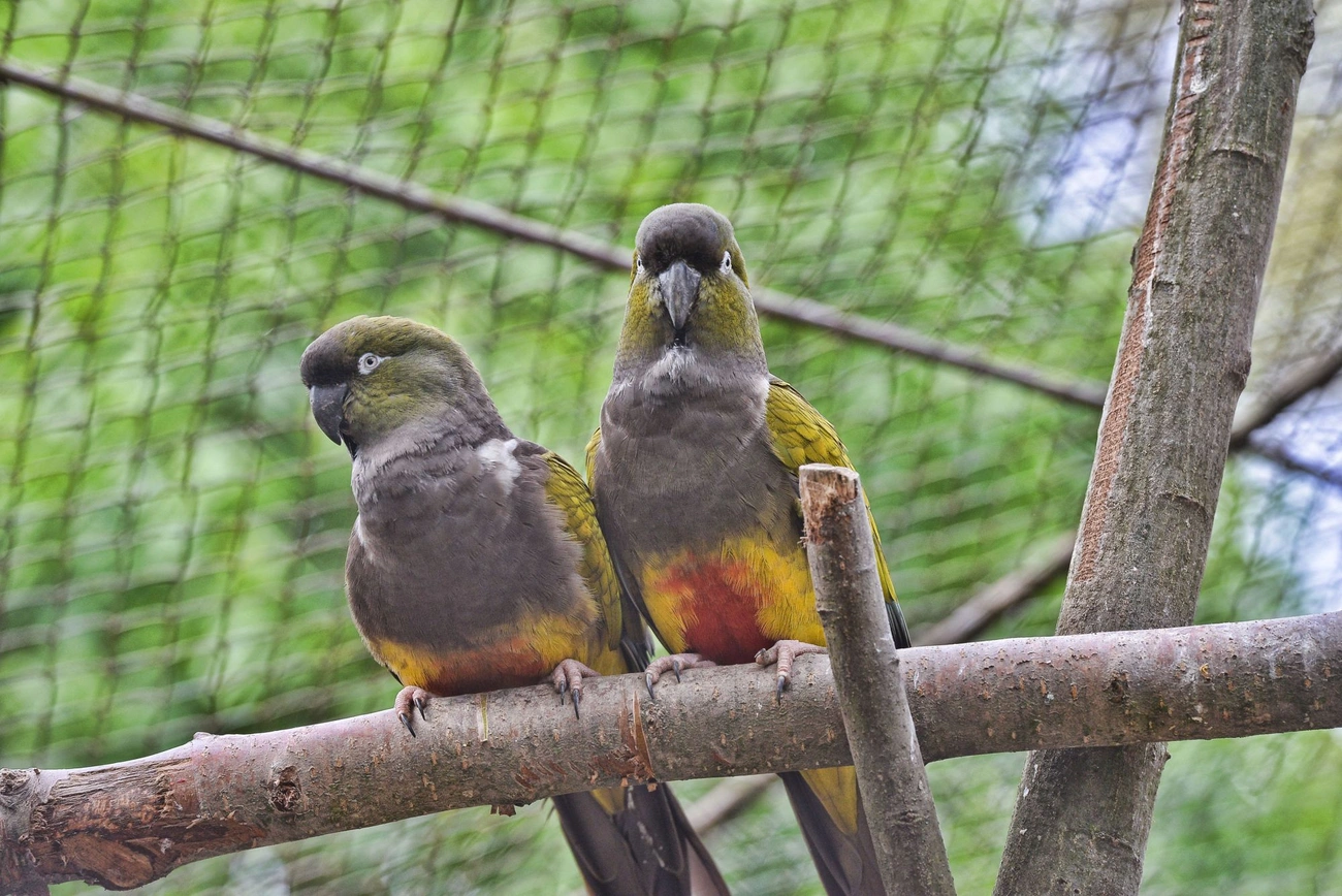 Föld napja a Miskolci Állatkertben