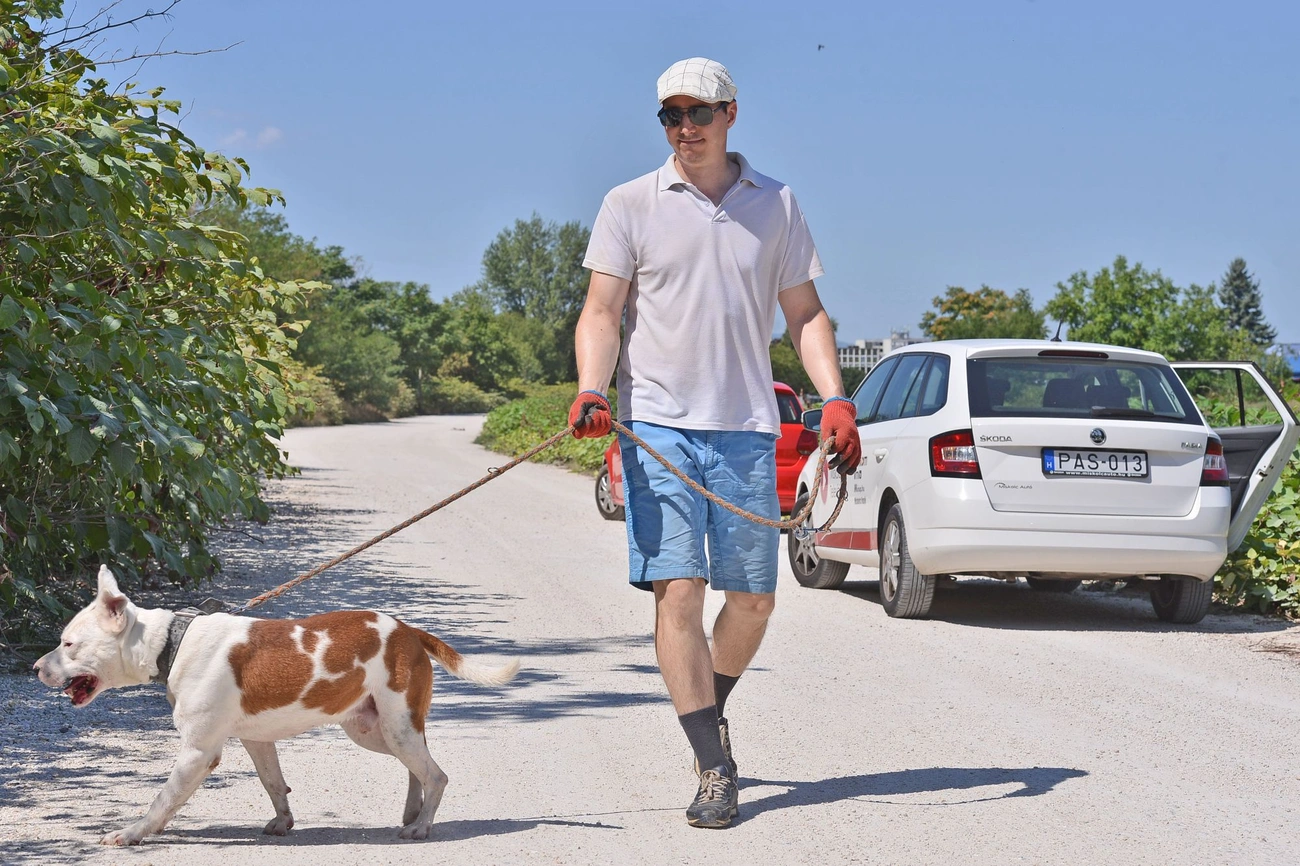 Nyílt Nap a Miskolci Állategészségügyi Telepen
