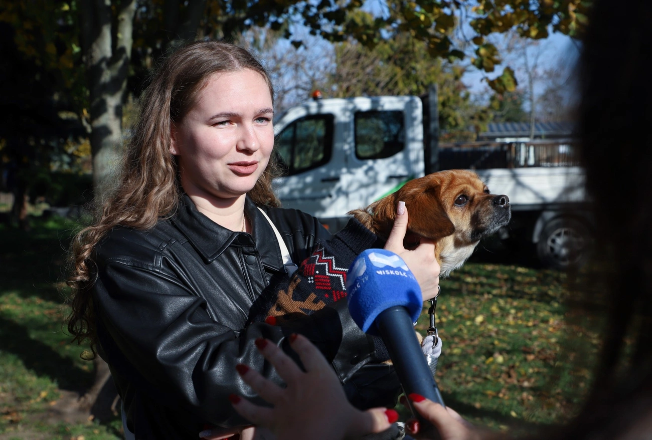 Jótékonysági kutyafotózás a Miskolci Állategészségügyi Telepen
