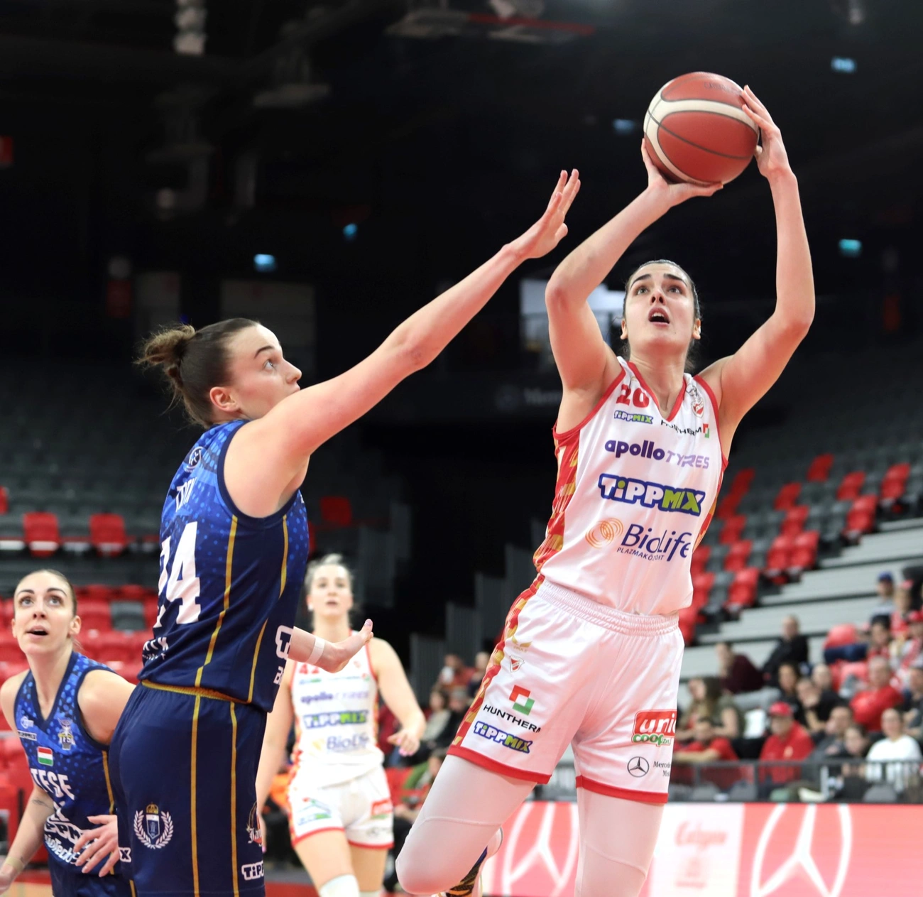 DVTK HUNTHERM – TFSE