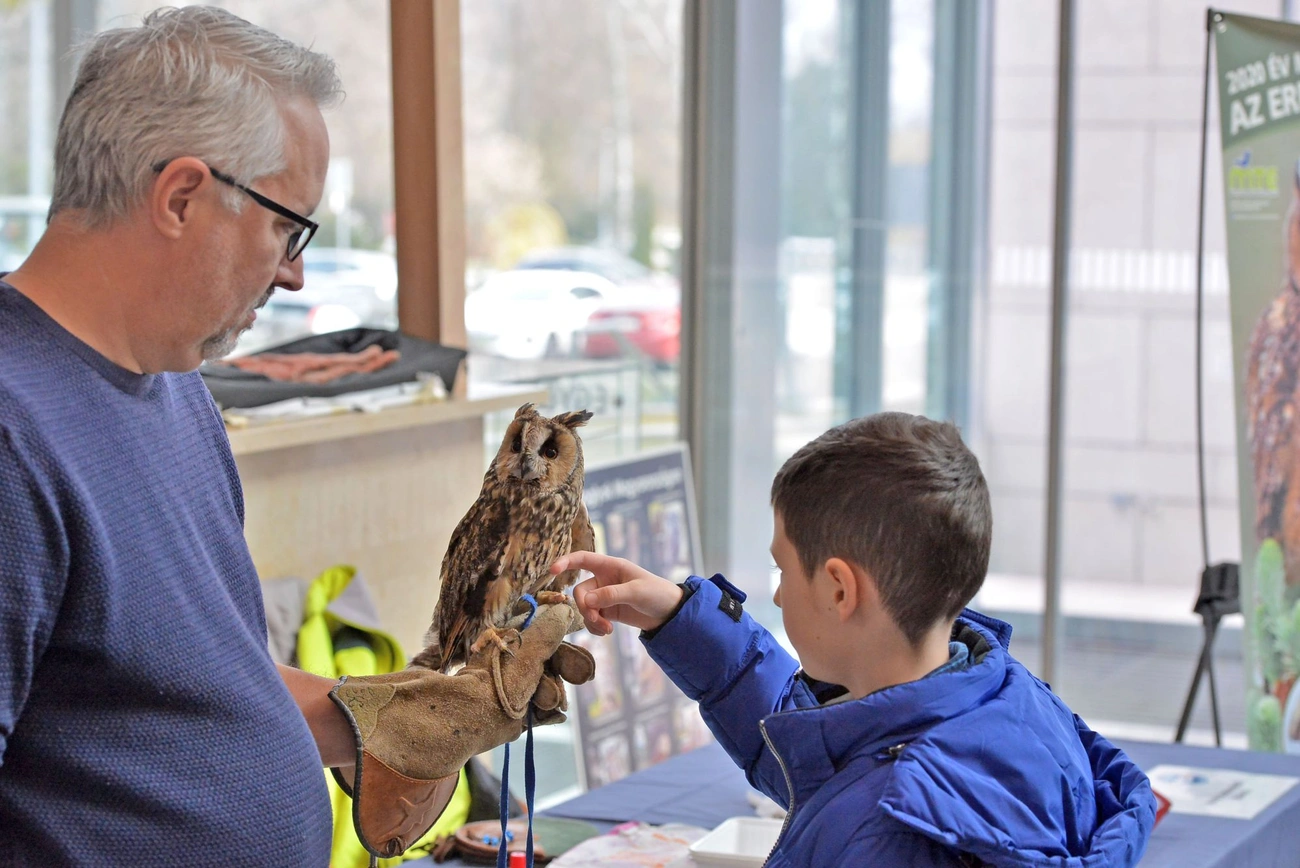 Miskolci Egyetem - Bagoly Nap
