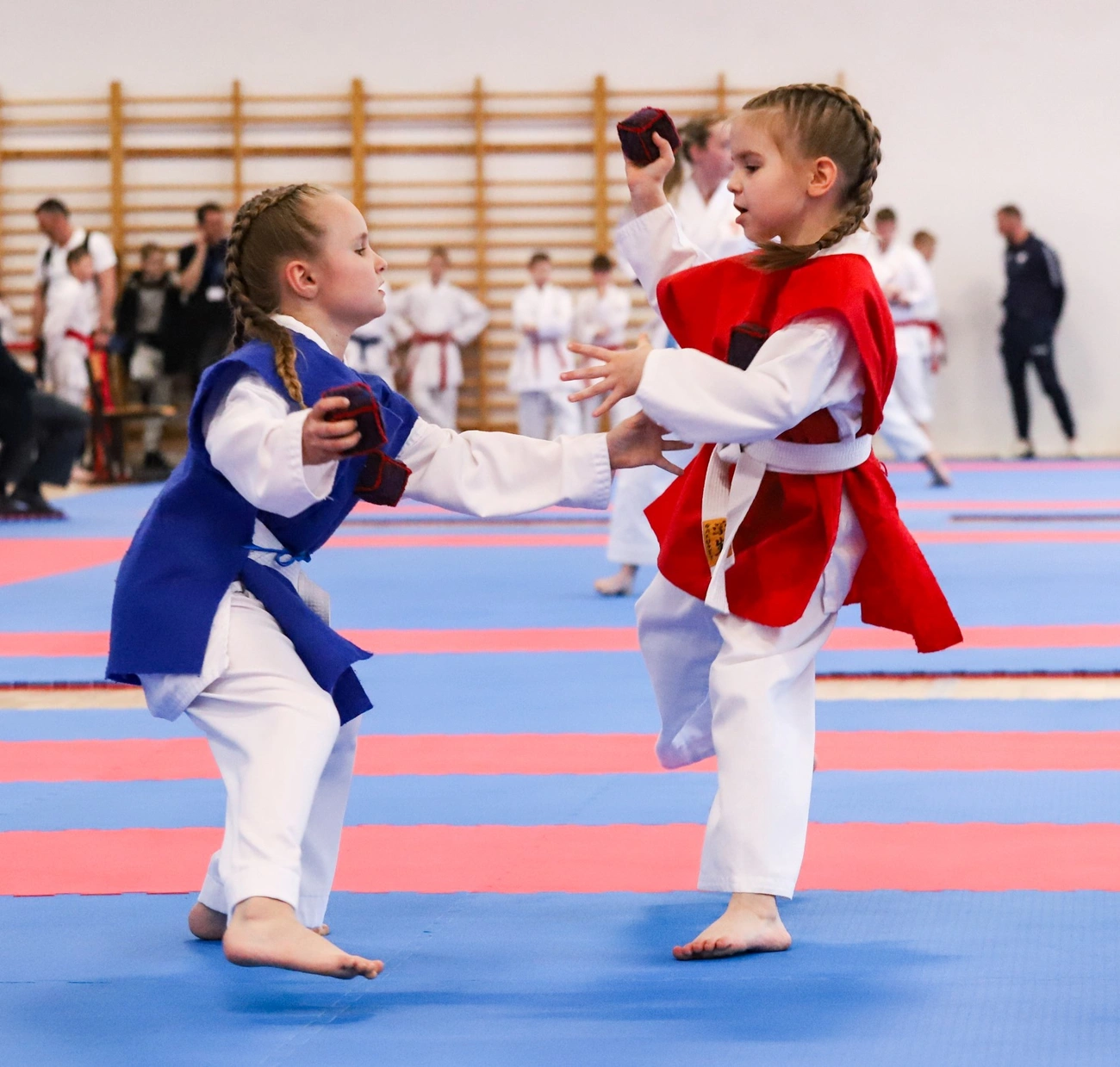 fotó: Mocsári László