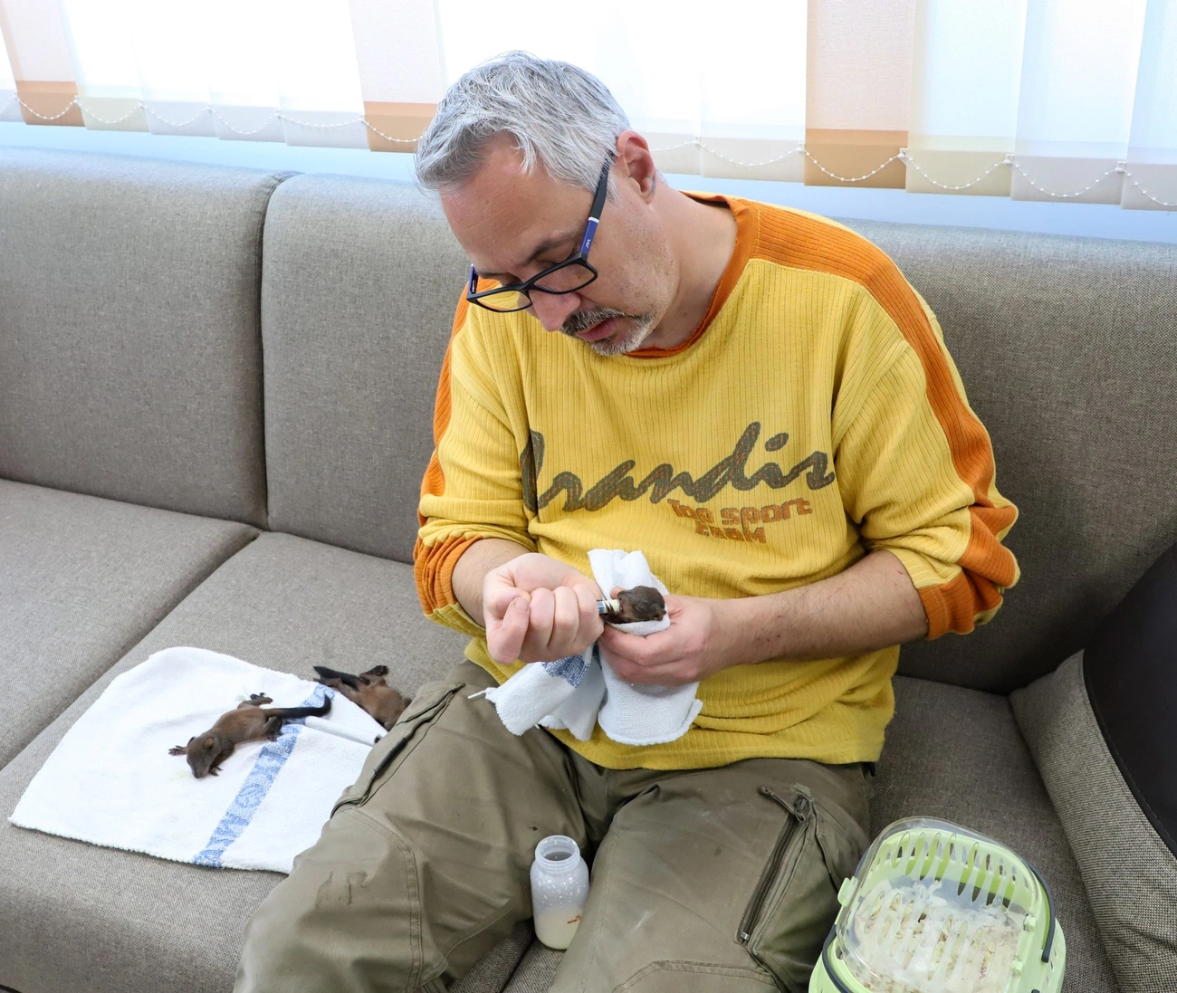 Kis mókusok, kis libák a Madármentő Állomáson Mályiban