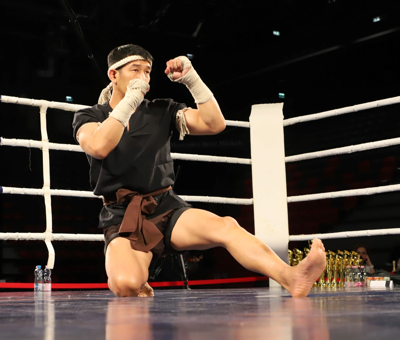 Nemzetközi Küzdősport Gála a DVTK Arénában