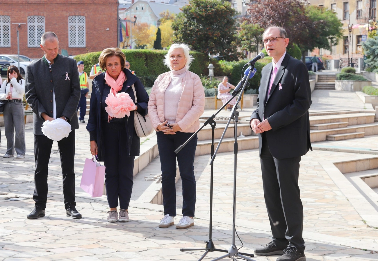 Rőzsaszín séta a mellrák elleni hónap alkalmából