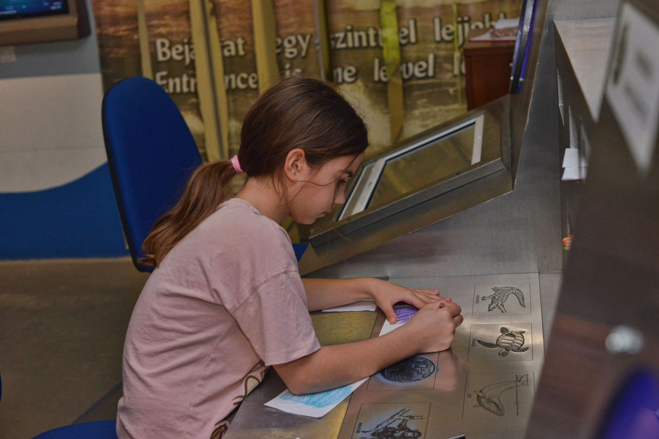 Játékbarlang múzeumi módra 