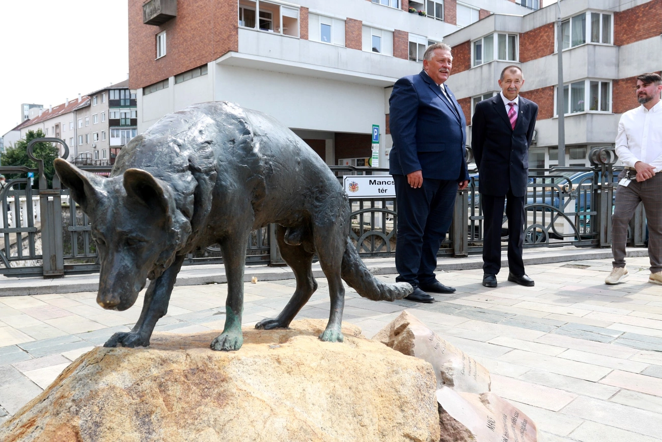 Mancs tér avató 