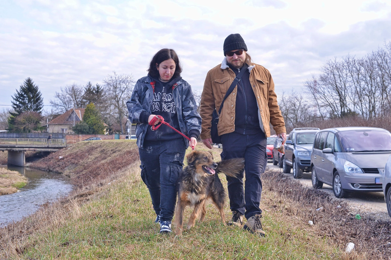 200. nyílt nap a Miskolci Állategészségügyi Telepen 