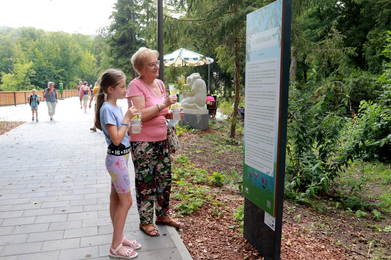 Vonzó a miskolctapolcai őspark 
