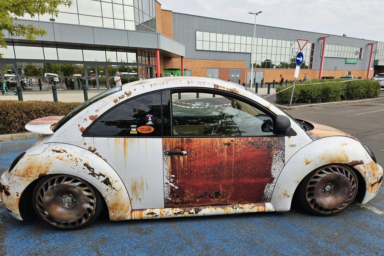 Négykeréken az állatokért 