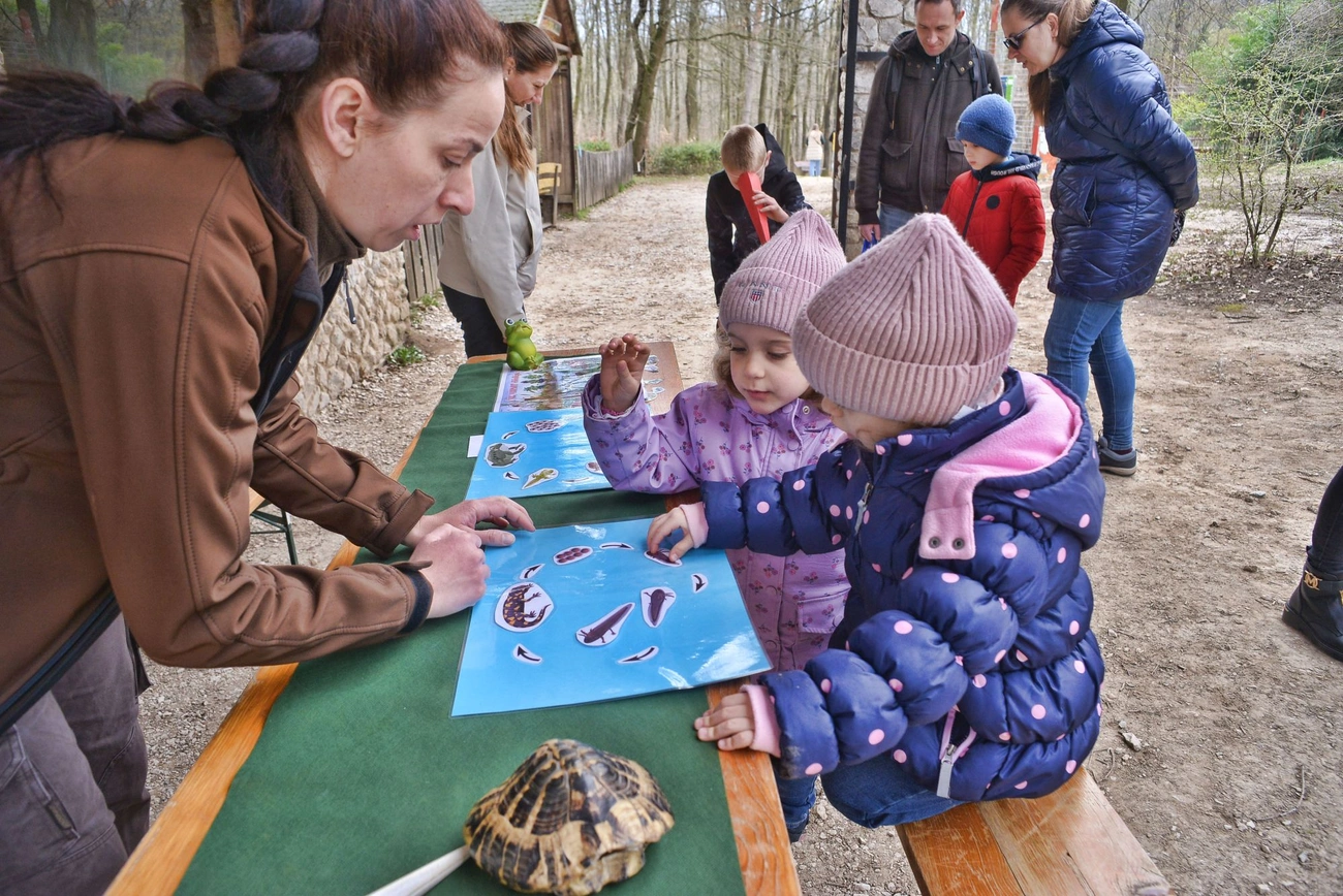 Víz világnapja a Miskolci Állatkertben 